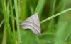 344373 – Photo : Numayta – France (68)