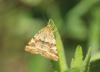 344124 – Photo : Philippe Fourtier – France (06)