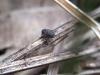 344334 – Photo : Vinex – France (73)