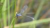 344767 – Photo : florent besson – France (85)
