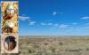 344643 – Photo : Stephane VASSEL – Kazakhstan