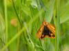 344838 – Photo : patrick derennes – France (01)