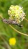 344044 – Photo : patrick derennes – France (01)