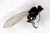 344587 – Photo : Mathurin CARNET – France (58)