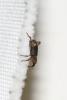 345579 – Photo : Lucas Benaiche – France (83)