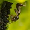 345368 – Photo : Damien GRILLIERE – France (15)