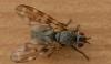 345519 – Photo : Christian Berquer – France (05)