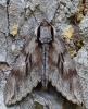 345473 – Photo : Bernard Mallet – France (38)