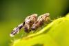345839 – Photo : lguez – France (91)