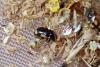345687 – Photo : Mathurin CARNET – France (58)