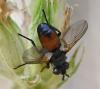 345912 – Photo : Liliane Delattre – France (30)