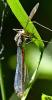 345915 – Photo : Magne Michel – France (65)