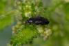 346737 – Photo : Pierre Duhem – France (17)