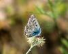 346884 – Photo : Philippe Fourtier – France (06)