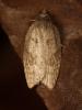 346740 – Photo : Cédric Mondy – France (75)