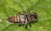346446 – Photo : Daniel INGREMEAU – France (36)