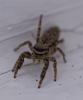 346400 – Photo : lguez – France (89)