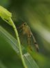 346923 – Photo : lguez – France (73)
