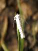 346588 – Photo : lguez – France (89)