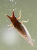 347846 – Photo : Jean-Michel GAREL – France (89)