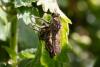 347482 – Photo : Pierre Duhem – France (17)