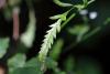 347487 – Photo : Pierre Duhem – France (17)