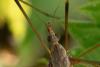 347541 – Photo : Pierre Duhem – France (17)