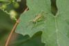 347572 – Photo : Pierre Duhem – France (17)