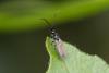 347591 – Photo : Pierre Duhem – France (17)