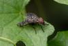 347593 – Photo : Pierre Duhem – France (17)