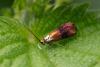 347636 – Photo : Pierre Duhem – France (17)