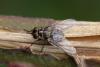 347981 – Photo : Pierre Duhem – France (17)