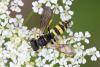 347762 – Photo : Pierre Duhem – France (17)