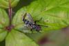 347990 – Photo : Pierre Duhem – France (17)