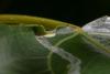 347790 – Photo : Pierre Duhem – France (17)