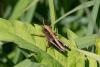 347880 – Photo : Pierre Duhem – France (17)