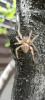 347499 – Photo : Loïc SAURET – France (34)
