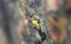 347682 – Photo : Numayta – France (68)
