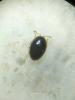 347695 – Photo : Tristan Maury-Caudal – France (37)