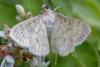 347933 – Photo : Jean-Claude Lablanquie – France (63)