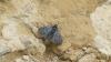 347200 – Photo : florent besson – France (74)
