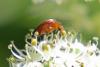 347272 – Photo : Gerard VIGO – France (73)