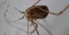 347720 – Photo : Christian Berquer – France (50)