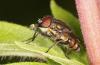 347319 – Photo : Cymatia – France (14)
