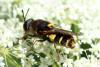 347890 – Photo : Mathurin CARNET – France (38)