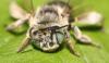 347245 – Photo : Daniel INGREMEAU – France (36)