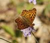 347952 – Photo : lguez – France (12)