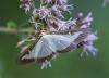 347927 – Photo : lguez – France (12)