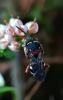 348374 – Photo : Manu70 – France (70)