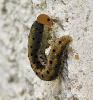 348494 – Photo : Vincent Mathy – France (14)